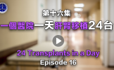 第十六集 一个医院一天肝肾移植24台 第十六集 一个医院一天肝肾移植24台